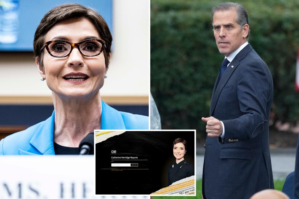 CBS reporter Catherine Herridge — who was fired amid reporting on the Hunter Biden laptop — releases bulletin